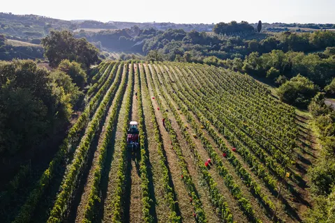 Il Podere di Marfisa in Farnese — foto 15