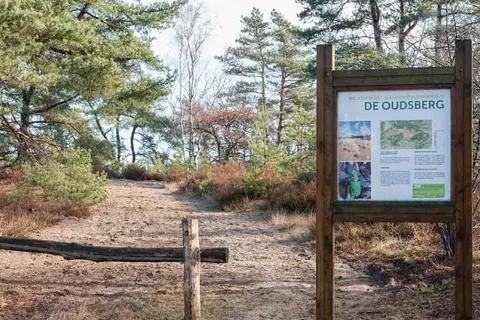 Recreatieoord Wilhelm Tell foto 32