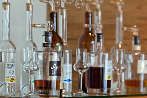 Hotel Alpina Parpan foto 12