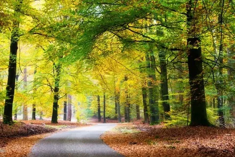 Hotel Papendal foto 17