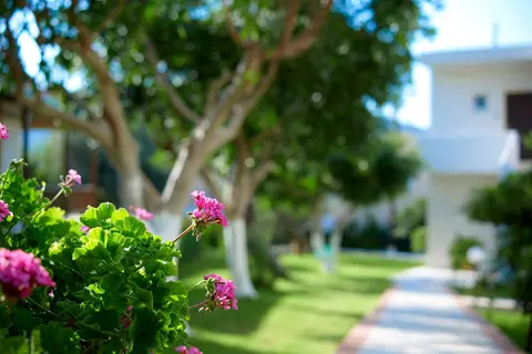 Katrin Hotel & Bungalows in Stalis Super Market, foto 20