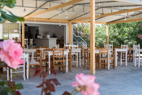 Zante Plaza foto 6