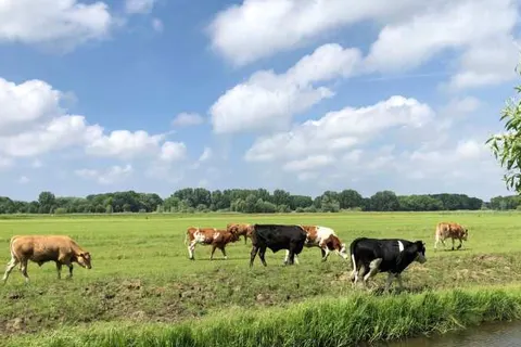 Vakantiepark Delftse Hout foto 25