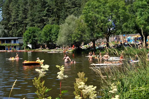 Camping Ferienparadies Natterersee foto 3