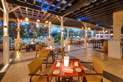 Intercontinental Muscat in Muskaatdruif — foto 4