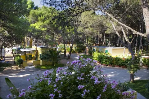 Camping La Vecchia Torre foto 3