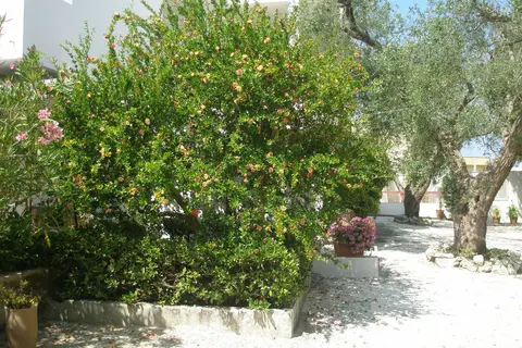 Tenuta Belvedere in Otranto, foto 22