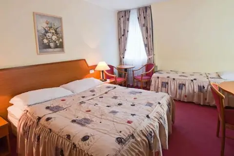 Hotel Alpina in Kranjska Gora, foto 6