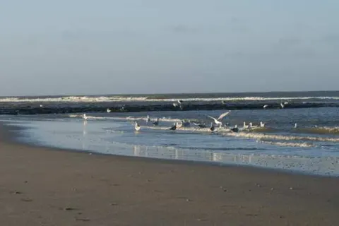 De Herbergh van Flielant foto 12