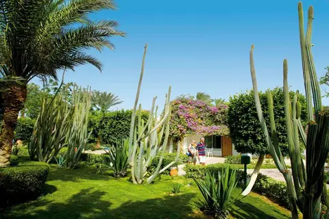 Shams Safaga Resort in سفاجا — foto 9