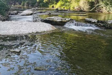 La Riviere in Saint-Maime — foto 29