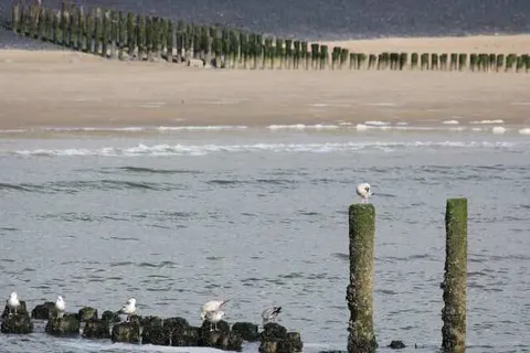 Fewo Oostkapelle foto 14