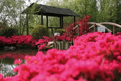 De Bronsbergen Wellness & Hotel foto 28