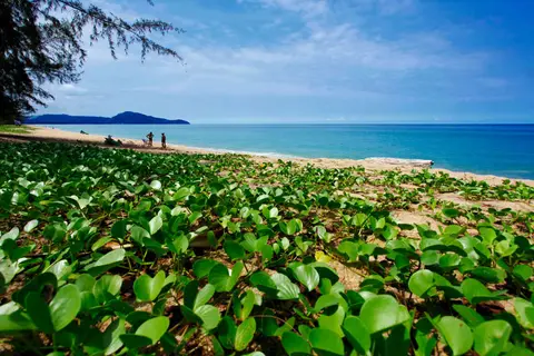 Holiday Inn Resort Phuket Mai Khao Beach in ศรีสุนทร — foto 20