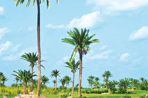Yadis Djerba Golf Thalasso & Spa in سيدي يأتي — foto 19