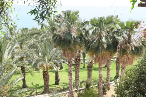 Ascos Coral Beach Hotel in Paphos — foto 27