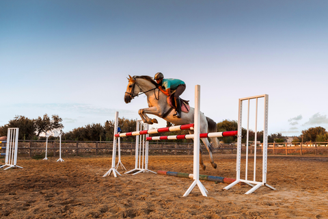 Hotel Sentido Phenicia foto 11