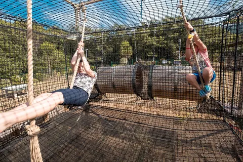 Camping Les Albères foto 8
