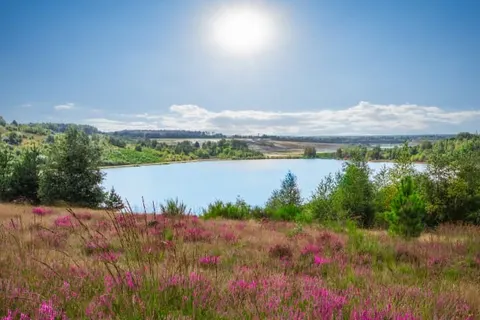 Fietsvakantie Antwerpse en Limburgse Kempen foto 3