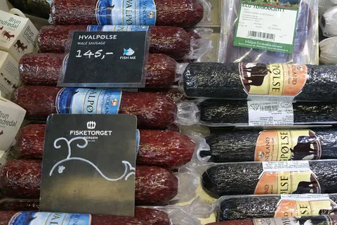 Fjorden, Gletsjers en Dalen foto 8