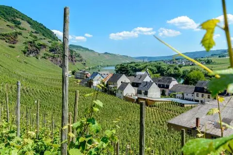 Ferienhaus Scheid foto 25