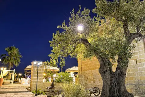 Masseria Tenuta Quintino in Nardò — foto 18