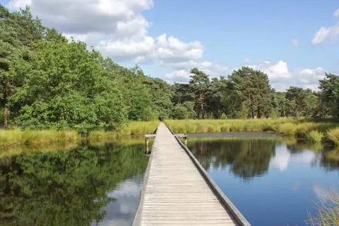 B&B De Grote Waaij foto 18