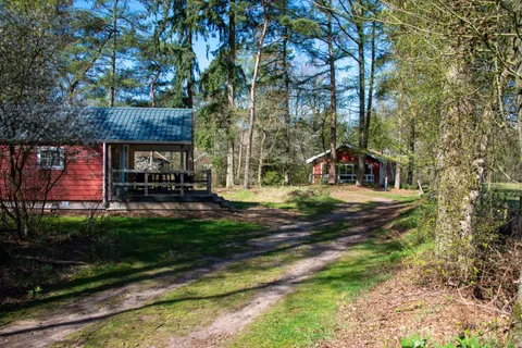 Vakantiepark De Wiltzangh foto 9