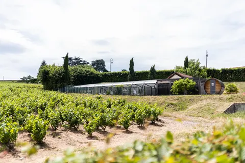 Camping La Grappe Fleurie foto 7