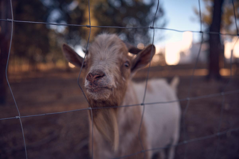 Craveiral Farmhouse foto 27