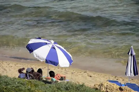 Ariadne Beach Hotel in Δημοτική Ενότητα Μαλίων — foto 21