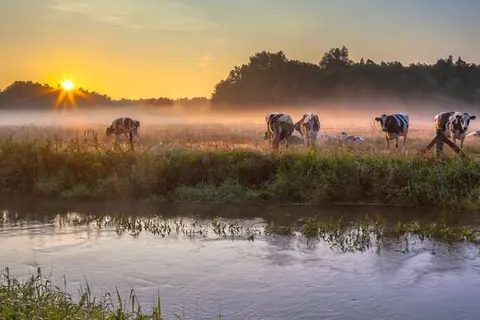 Lumen Hotel & Events foto 15