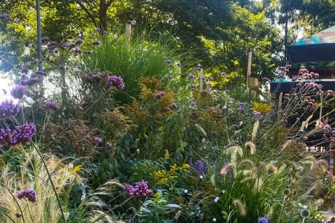 Hotel Restaurant Ruimzicht foto 33