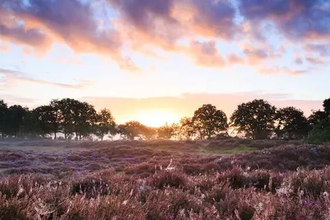 Dorpsherberg De Roskam foto 18