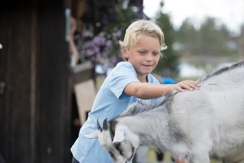 Norefjell Ski & Spa foto 5