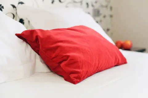 Hostal Domus in Guadalmar-San Julián — foto 14