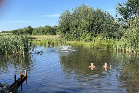 Camping De Toffe Peer in Ruinerwold — foto 12