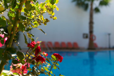 Appartementen Villa Dora foto 4