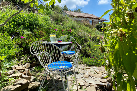 Finca las Nuevas foto 10