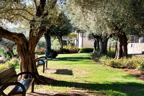 Villa Paradiso in Passignano sul Trasimeno — foto 23