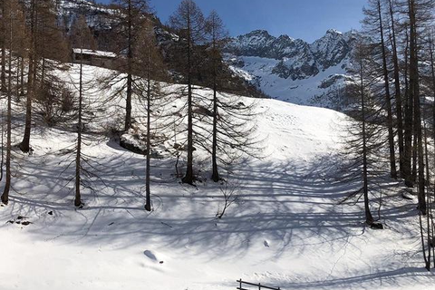 Hotel Lysjoch foto 16