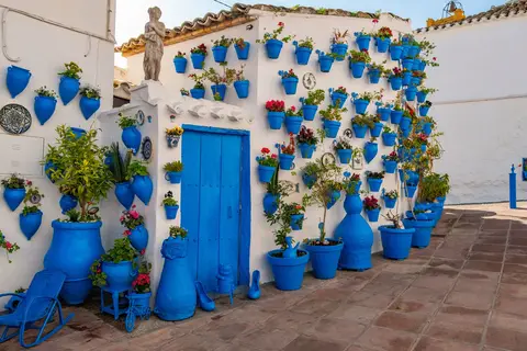 Ontdek Andalusië in 8 dagen in Hernani — foto 9