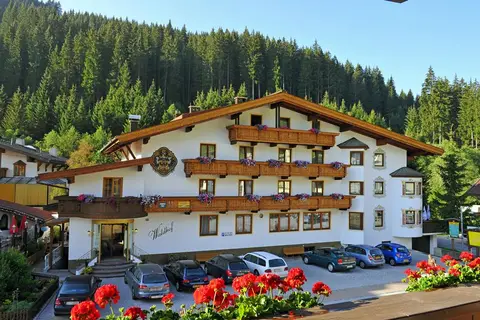 Hotel Waldhof in Gerlos