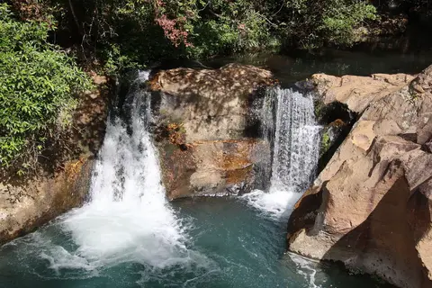 Natuurlijk Costa Rica in Costa Rica, foto 3