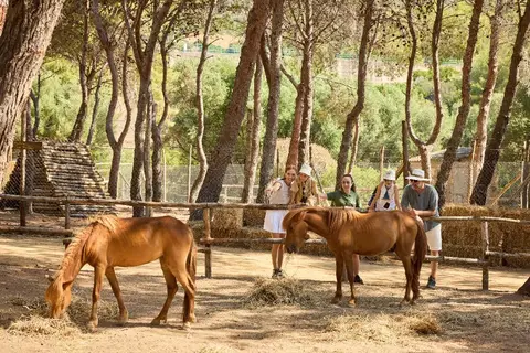 Forte Village - Hotel Pineta in Pula — foto 10