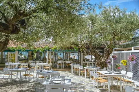 Acrotel Athena Pallas in Δημοτική Ενότητα Σιθωνίας — foto 14