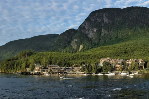 Whales, Bears and Vancouver Island foto 5