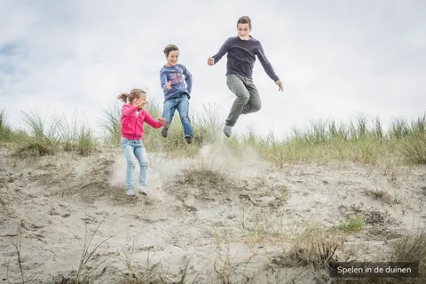 Villapark De Koog foto 13