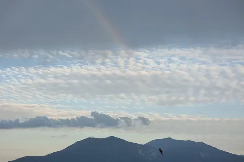 Vakantiepark Il Vigneto Due foto 20