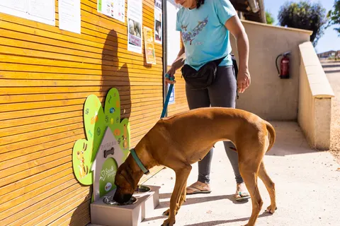 Camping Le Ventoulou foto 17